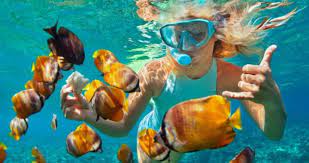 I have been told that diving and snorkeling in nusa penida are excellent. Travellersquest Blue Lagoon Padang Bai Snorkeling