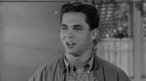 Prime Video: Leave it to Beaver Season 5