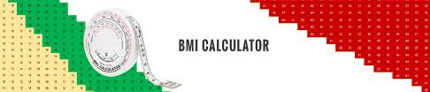 Bmi Calculator Body Mass Index Dripskochar