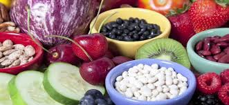 Image result for शाकाहार ही सर्वोत्तम आहार