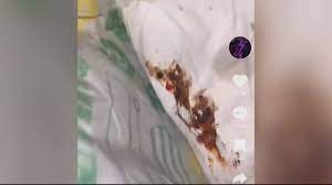 Woman claims sandwich from East Lansing Subway had poop on it - YouTube