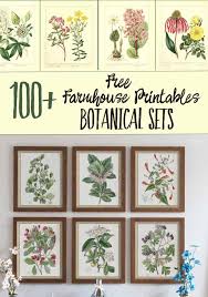 Greatbigcanvas.com has been visited by 100k+ users in the past month Copyright Free Botanical Illustrations Download Illustration 2020
