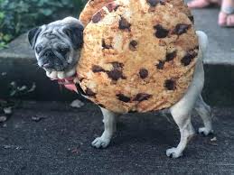 Our business is a full service bakery. One Hot Cookie Boardman Oh Home Facebook