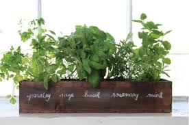 Then for each segment, we needed to bevel the edges at a 30 degree angle so that they could fit together seamlessly to form the hexagon. 11 Indoor Flower Boxes That Will Convince You To Bring The Outdoors In The Weird Thing People Are Doing With Window Boxes
