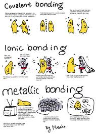 Pin On Science For Secondary Grades Biology Chemistry Physics And More