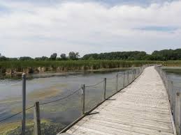 City Of Richfield Mn Wood Lake Nature Center Forest Bathing