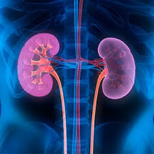 Later, symptoms may include leg swelling, feeling tired, vomiting, loss of appetite, and confusion. Chronic Kidney Disease Johns Hopkins Medicine