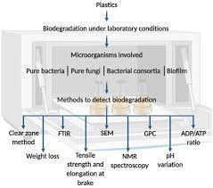 Alibaba.com offers 1,652 electronic rubber densimeter products. Frontiers Marine Environmental Plastic Pollution Mitigation By Microorganism Degradation And Recycling Valorization Marine Science