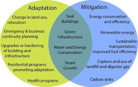Mitigation Vs Adaptation Resilience Green Renewable Energy Climate Change