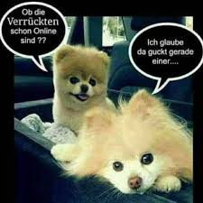Lustige Sprüche Und Zum Nachdenken Startseite Facebook