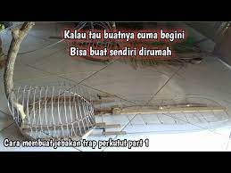 Gunakan sangkar yang sedikit lebih luas agar sang burung leluasa bisa beterbangan di dalamnya. Cara Membuat Jebak Untuk Pikat Perkutut Part 1 Youtube