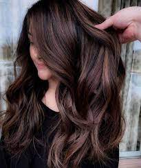 Fall Hair Color Summer Hair Color For Brunettes Hair Color Shades Pretty Hair Color