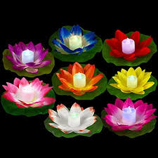 Every bouquet and arrangement we create is made fresh to order using only the highest quality flowers. 8 Pieces Floating Lotus Lights Multi Colored Led Lotus Flower Lamp Battery Operated Waterproof Floating Led 8 Pieces Floating Lotus Lightlotus Night Light For Pool Garden Fish Tank Wedding Party Decor Amazon Com Au Lighting