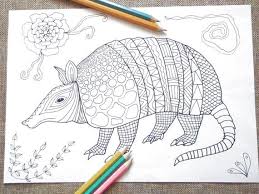 Color armadillo illustrations & vectors. Pin On Colouring Designs Activities