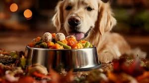 Día de Acción de Gracias: qué alimentos son seguros para tu mascota durante  la festividad