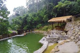 It is perfect for family with small kids as the water wasn't rough and not too deep. Get A Little Piece Of Paradise At Forrest House Bukit Tinggi Your Sanctuary In The Forest Klnow