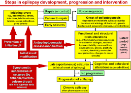 Jangan lupa membaca update manga lainnya ya. Infections Inflammation And Epilepsy Springerlink
