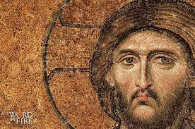 Bible Studies — St. Ann Catholic Parish