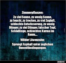 Karma Witze Und Spruche Debeste De