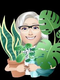 TGIF, is raining outside🇱🇷🌧️🌧️🌧️ Hoyas reblooming 😅. Oh yeah, video  was taken yesterday 😂