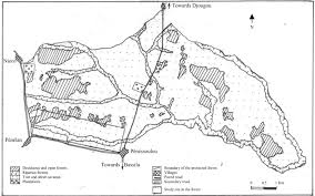 Image result for Aneilema dispermum