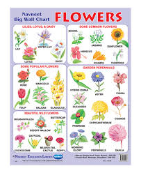Consider keeping the idol of the vastu purush, snake made of silver, copper wire, pearl and powla. 15 Flowers Name And Images In Hindi Top Collection Of Different Types Of Flowers In The Images Hd