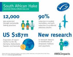 Case Study South Africa Hake Fishery Msc Case Study Msc Study