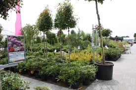 Wir freuen uns auf ihren besuch! Baumschulelenders Gartencenter