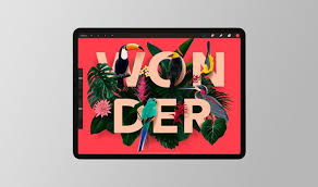 Acţiunea de a procrea şi rezultatul ei; Procreate Mac Life
