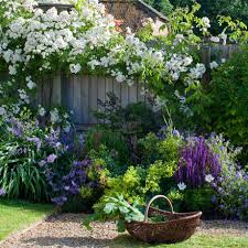 It covers everything from climbing flowers for sun or shade, vining perennials, annuals, tropicals, and even vining vegetables. 6 Easy Climbing Plants For Your Garden