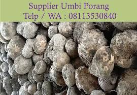 We did not find results for: Supplier Umbi Porang Home Facebook
