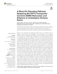 Now we find the faces in the image. Pdf A Shoot Fe Signaling Pathway Requiring The Opt3 Transporter Controls Gsno Reductase And Ethylene In Arabidopsis Thaliana Roots