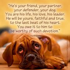 One Of My Favorite Dog Quotes Quotes Dogs Boxers Boxer Dogs Dog Quotes Boxer Love