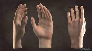 Maybe you would like to learn more about one of these? Free 3d Blender Model Download Hand Blendernation