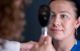 Classificação Programa Fellowship 2024