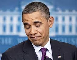 Obama's Year In Review