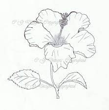Pin On Drawing