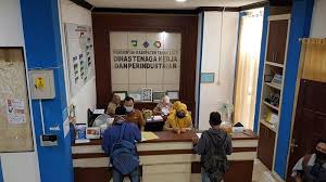 Penempatan kerja di surabaya tanggung jawab pekerjaan :mampu menyiapkan, mengisi dan menyerahkan formulir pendaftaran pengukuhan pengusaha. Pabrik Kelapa Sawit Batuampar Tanahlaut Buka Lowongan Kerja Pemohon Kartu Tenaga Kerja Membeludak Banjarmasin Post