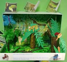 3d Geography Geography For Kids Fun Ideas For Geography Models Rainforest Project Rainforest Theme Rainforest Activities