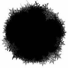 i pinimg com 736x 05 b6 0c 05b60c778c024b6aead7