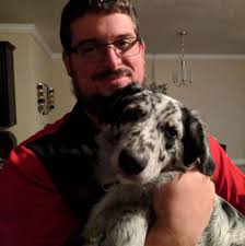 2016 Q3 Quattro wiring harness connector location