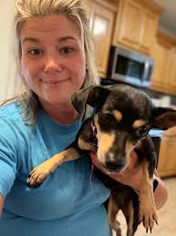 Found house trained dog in Olde Mill neighborhood