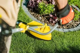 Ready to make your lawn thicker and healthier? Lawn Care Maintenance Services Cold Spring St Cloud Sauk Rapids Mn Total Lawn Care Inc