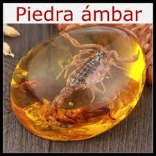 Sin embargo, no fue sino hasta mucho tiempo después de su aparición, que las personas realmente supieron que es el ámbar. Piedra Ambar Significado Propiedades Y Usos 2021