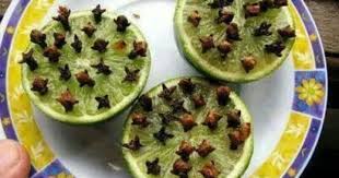 Have A Mosquito Free Summer With These 13 All Natural And Safe Diy Mosquito Repellents Dogal Iyi Fikirler Ve Yerler