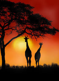 Walking Tall African Sunset Silhouette Art African Animals