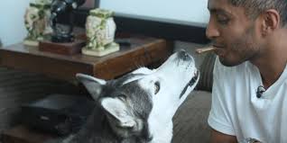 I'm at risk of losing everything'