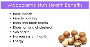 Urban Wired Nuts Health Benefits Healing Food Macadamia Nuts