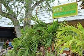 Sun Garden Cafe Siesta Key Sarasota Fl Restaurant Review Garden Cafe Sun Garden Siesta Key