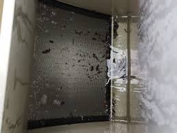 Bilder Der Treffpunkt Fur Schwimmteich Und Naturpool Freunde Natur Pool Schwimmteich Teichreinigung